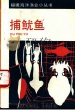 捕鱿鱼 1989 PDF电子版封面 7533502825 苏龙编著