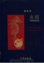 黄渤海鱼类 1994 PDF电子版封面 9578596162 张春霖等著