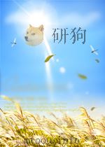 安装工程质量通病防治手册 (续篇) PDF电子版封面