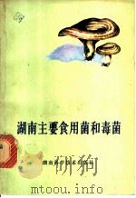 湖南主要食用菌和毒菌 1979 PDF电子版封面 16204·8 湖南师范学院生物系,湖南省食杂果品公司合编