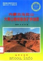 内蒙古乌拉山-大青山绿岩型金矿床地质 1996 PDF电子版封面 7116019901 陈纪明,刘纲等著
