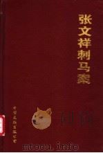刺马详情 1996 PDF电子版封面 750592396X 平江不肖生著;江流标点;佚名著;司马丁标点
