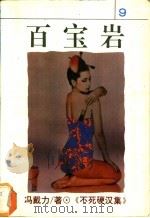 百宝岩   1994  PDF电子版封面  7538707948  冯戴力著 