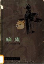 暗流   1984  PDF电子版封面  10313·29  （日）有吉佐和子著；梅韬译 