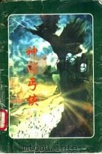 神赌丐侠 下 1997 PDF电子版封面 7806054529 卧龙生著
