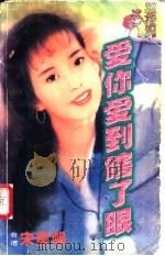爱你爱到瞎了眼   1998  PDF电子版封面  7204032438  宋星帆著 