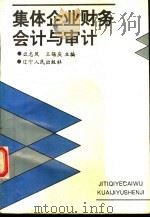 集体企业财务会计与审计   1993  PDF电子版封面  7205027691  么志风，王锡庆主编 