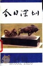 今日深圳   1984  PDF电子版封面  4132·003  深圳特区报编 