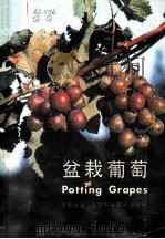 盆栽葡萄   1983  PDF电子版封面  16119·805  葛根编著 