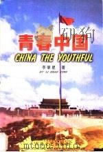 青春中国 1999 PDF电子版封面 7530628267 李肇星著