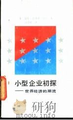小型企业初探  世界经济的潮流   1990  PDF电子版封面  7218005403  （美）赫 尔（Hull，G.S.）著；汪念郴译 