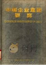 中国企业集团要览   1993  PDF电子版封面  7505805525  万光明总编；《中国企业集团要览》编委会编 