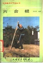 六合棍 1987 PDF电子版封面 7505000225 陈若萍编著