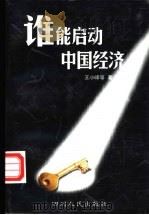 谁能启动中国经济 1999 PDF电子版封面 7220047622 王小峰等著