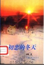 初恋的冬天 1997 PDF电子版封面 7505926977 师榕著