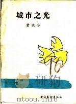 城市之光 1986 PDF电子版封面 10228·233 黄晓华著
