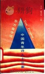 东方金字塔  中国青年诗人13家   1991  PDF电子版封面  753960364X  牛汉，蔡其矫主编 