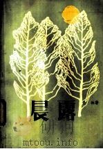 晨露   1984  PDF电子版封面  10111·1464  竹林著 