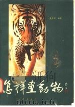 怎样画动物   1982  PDF电子版封面  8214·3  袁熙坤编著 