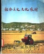 社会主义文化农村-在伟大领袖金日成同志的经典著作《关于我国社会主义农村问题提纲》发表十周年之际 1974 PDF电子版封面