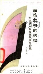 面临危机的选择 中国艺术民族化现代化论稿 1989 PDF电子版封面 750390139X 杨曾宪著