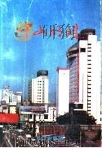 中山明珠 1997 PDF电子版封面 750151612X 肖阳等编著