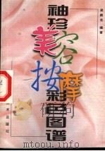 袖珍美容按摩彩色图谱   1999  PDF电子版封面  7533515528  梁鹤秀编著 