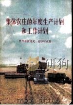 集体农庄的年度生产计划和工作计划 1956 PDF电子版封面 T4090·9 阿布罗西莫夫,舒沙科夫著;刘文彬译