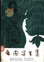 云南写生集 第1集 1978 PDF电子版封面 8116·770 云南人民出版社编