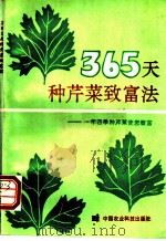 365天种芹菜致富法   1993  PDF电子版封面  7800265528  宋元林等编著 
