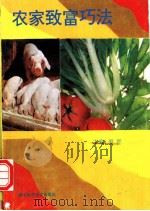 农家致富巧法 1994 PDF电子版封面 7535215211 晏强主编