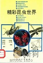 精彩昆虫世界 1992 PDF电子版封面 7503809426 王林瑶等编文;安英姬,王尔强绘画