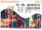 鸡·鸭·鹅病防治彩色图册   1991  PDF电子版封面  7535708773  曾衡秀，俞火明编著；子培等绘 