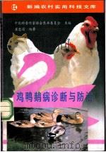 鸡鸭鹅病诊断与防治 1991 PDF电子版封面 7109020088 中国科普作家协会农业委员会主编;崔忠道编著