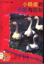 小鹅瘟的诊断与防治 1992 PDF电子版封面 7534514363 王永坤编著