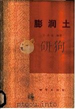 膨润土   1980  PDF电子版封面  15038·新553  王鸿禧编著 