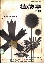 植物学 (上册) 形态解剖部分 1988 PDF电子版封面 张述祖