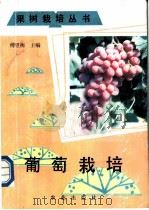 葡萄栽培 1990 PDF电子版封面 7109012646 傅望衡主编