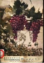 葡萄品种 1977 PDF电子版封面 16144·1760 陕西省果树研究所,中国农林科学院果树试验站编著
