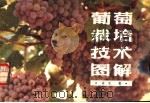 葡萄栽培技术图解   1984  PDF电子版封面  7538103414  许生著 