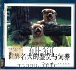 世界名犬的鉴赏与饲养 1993.06 PDF电子版封面 7506003422 石松编著