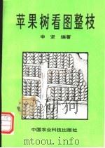 苹果树看图整枝 1993 PDF电子版封面 7800265390 申坚编著
