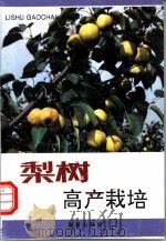梨树高产栽培   1992.09  PDF电子版封面  7800224511  贾敬贤主编；张力等编著 