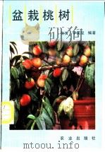 盆栽桃树 1990 PDF电子版封面 7109013936 张寅,李英玺编著