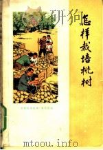 怎样栽培桃树 1973 PDF电子版封面 16171·82 《怎样栽培桃树》编写组编著