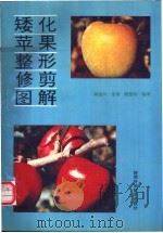 矮化苹果整形修剪图解 1993 PDF电子版封面 7536915454 杨维兴等编译;朱强绘图