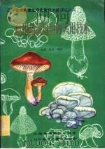 食用菌栽培制种实用技术   1988  PDF电子版封面    桂馨，敬华编著 