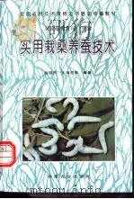 实用栽桑养蚕技术   1996  PDF电子版封面  7109045420  农业部教育司主编；胡国洪，王湘君等编著 
