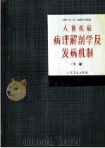 人体疾病病理解剖学及发病机制 下 1965 PDF电子版封面 14048·3105 (苏)达维多夫斯基И.В.著;杨汝菖等译