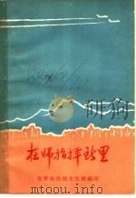 空军小说散文集 在师指挥所里 PDF电子版封面 空军政治部文化部编